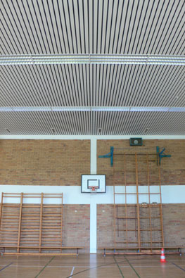 sport ceiling, sports ceiling